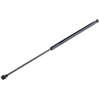 NTY Gasfeder Heckklappe Passend FüR Renault Laguna III Grandtour KT0/1 2.0 16V