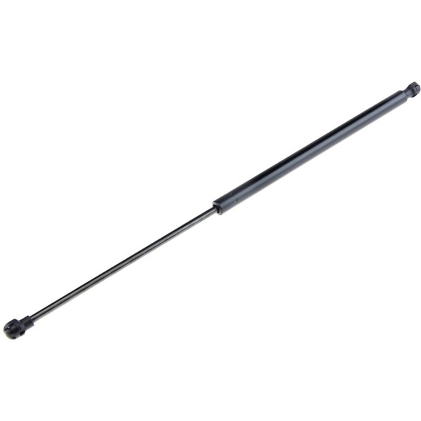 NTY Gasfeder Heckklappe Passend FüR Renault Laguna III Grandtour KT0/1 2.0 16V-image