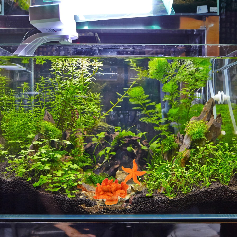 Fish hotsell tank stuff