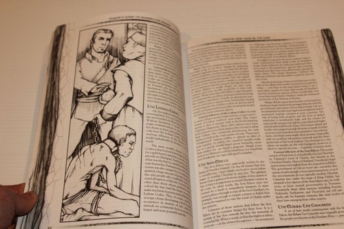 Sword & Sorcery - Guida Giocatore Rangers & Rogues S&S D&D d20 Libro RPG WW 8309 - Foto 11 di 12