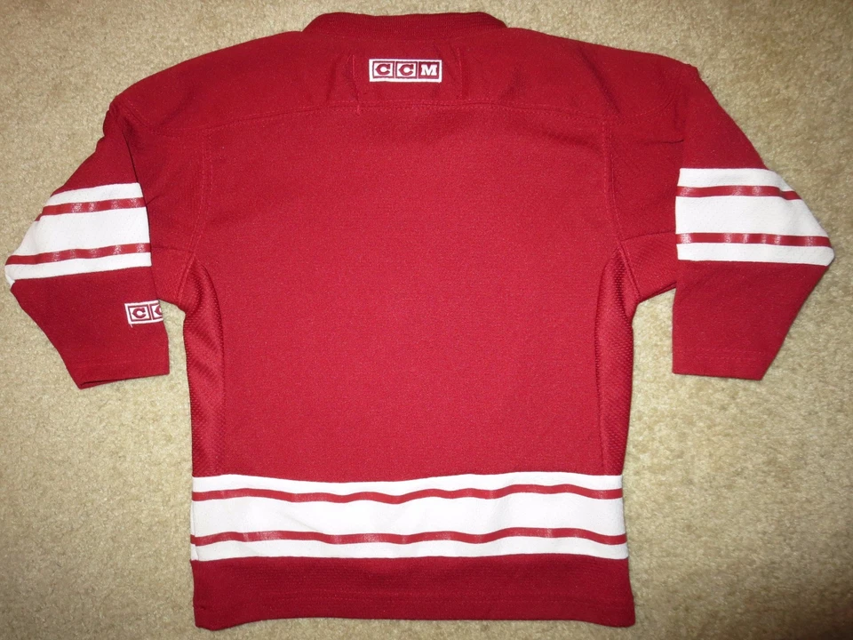 Arizona Coyotes CCM NHL Hockey Jersey Toddler 2T - 4T - Image 3 of 3