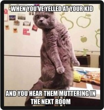 Funny Cat Humor When You Yelled At Your Kids Refrigerator Magnet  