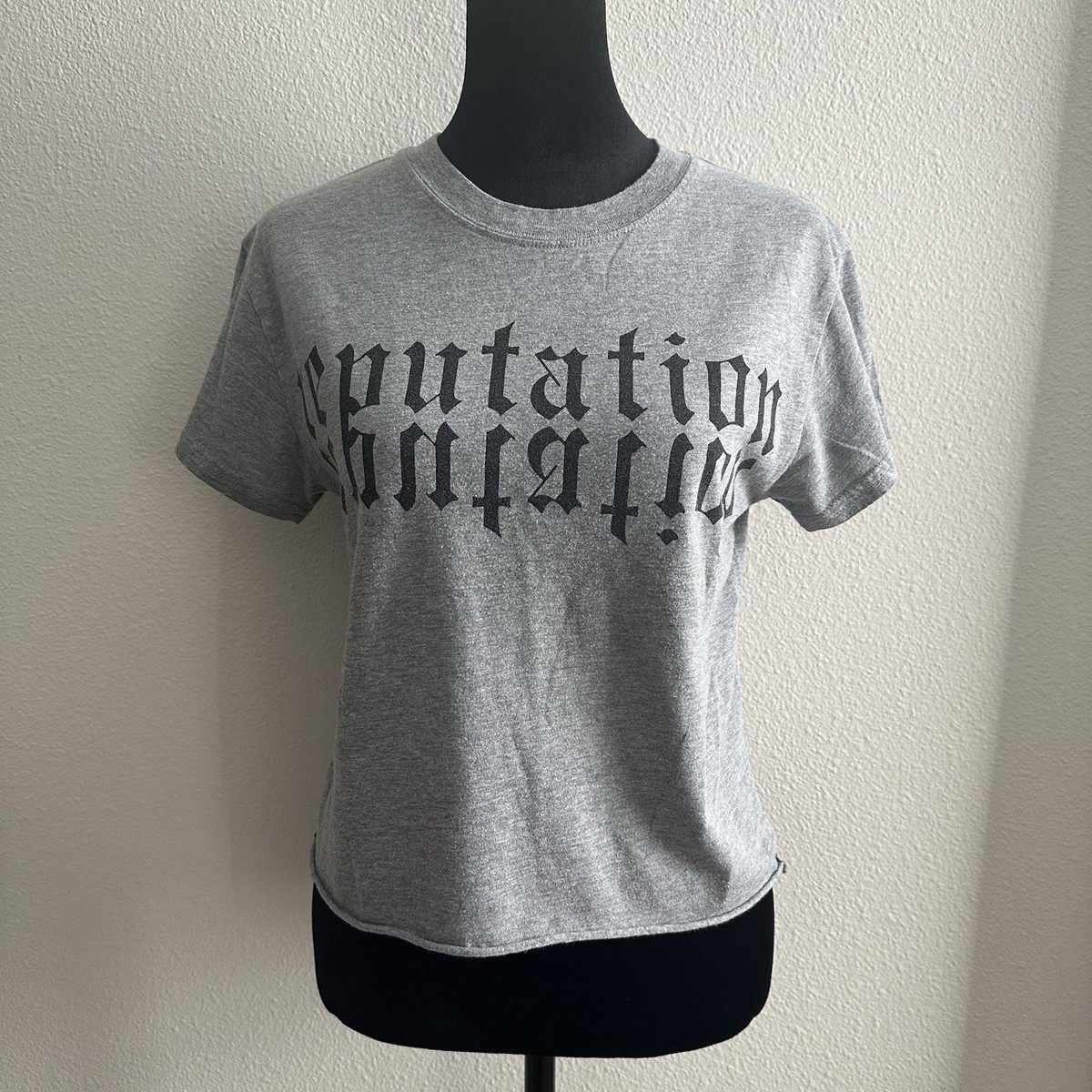 RARE TAYLOR SWIFT Reputation Tour Gray Crop Top Shirt