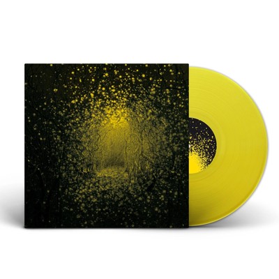 The Antlers Burst Apart (Vinyl)