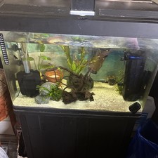 Fish Tank