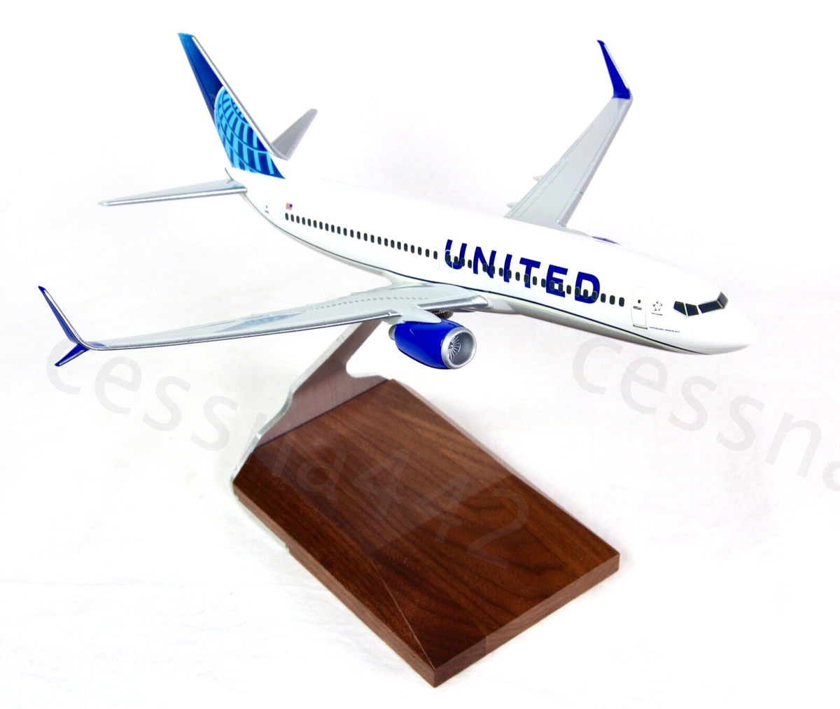 PACMIN UNITED Airlines Boeing 737-800 Scimitar Aircraft PACMIN UNITED Airlines Boeing 737-800 Scimitar Aircraft