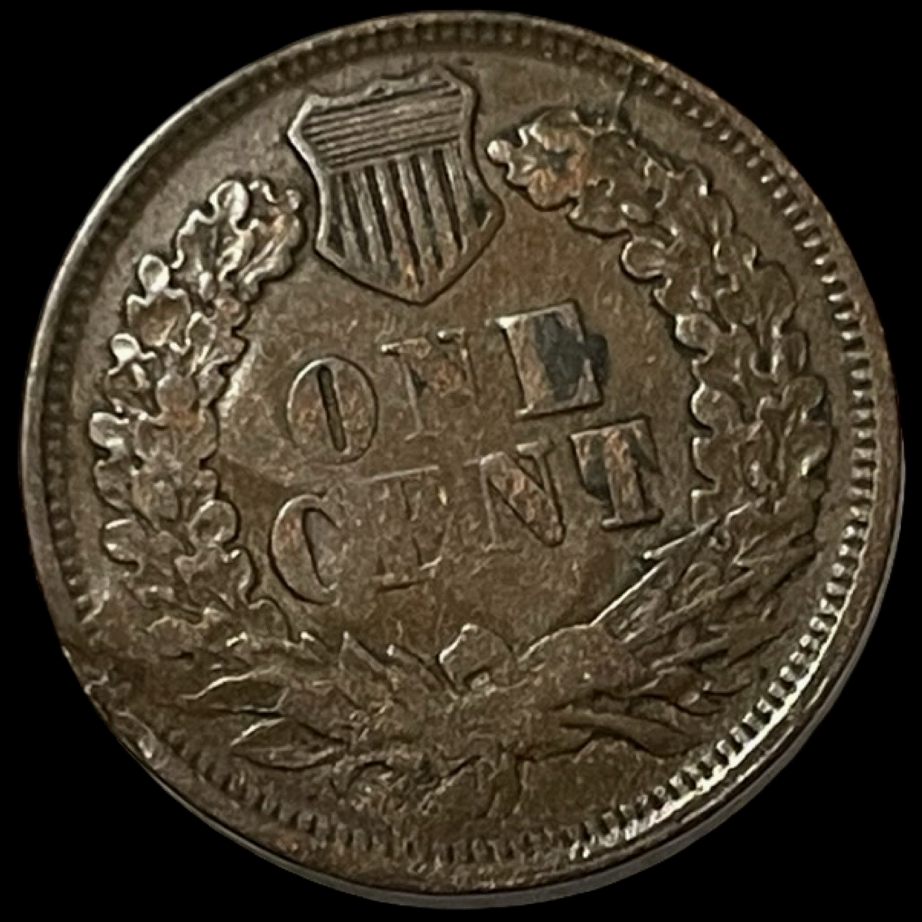 Picture 5 of 13