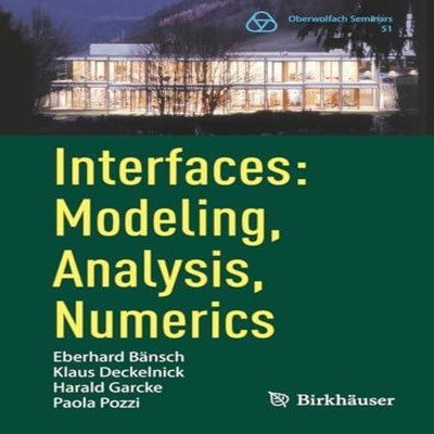Interfaces Modeling Analysis Numerics Springer Nature B.V. Paperb