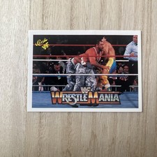 1990 Classic WWF The History of Wrestlemania - Bushwhackers #92