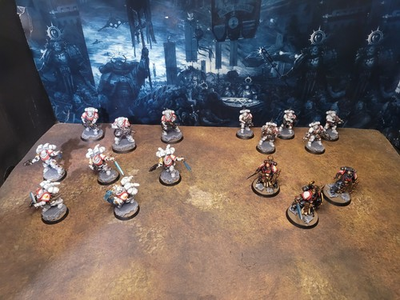 #ad Warhammer White Scars Bladeguard Infiltrators amp; Vanguard Vets PAINTED amp; BASED $375.00