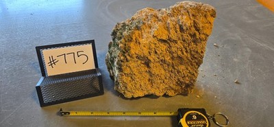 6.5'' Medium Pumice Stone Floating Natural Rock Carnivorous Succulent Garden #775