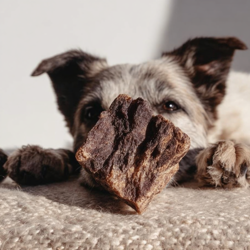 Starter Dog Treat Box | Natural Australian Dog Treat Pack – Lamb, Chicken, Duck  - Picture 4 of 8