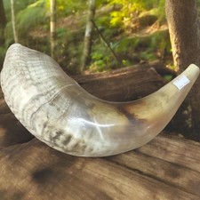 Jewish Shofar 25cm Ram Horn Kids Children Israel Synagogue Prayer Kosher Judaic