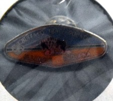 BOY SCOUT - BUFFLO TRACE COUNCIL HAT PIN