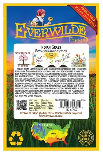 1000 Indian Grass Native Grass Seeds - Everwilde Farms Mylar Seed Packet - Picture 2 of 3