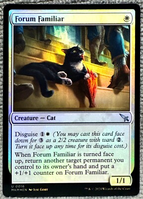 MTG Forum Familiar (16/462) FOIL MKM: Murders at Karlov Manor NM