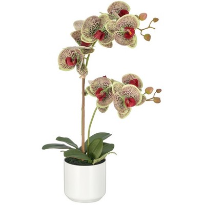 Kunstpflanze Phalaenopsis, Farbe grün-rot, Real Touch,  inkl. Keramik-Topf, Höhe