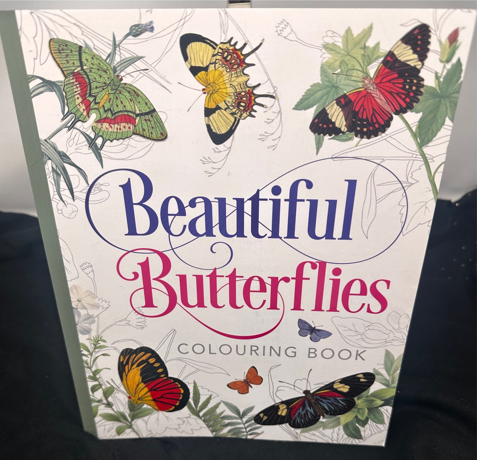 Beautiful Butterflies Colouring Book