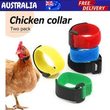 Anti Crow Collar for Roosters Cockerel poultry No Crow Noise Neck Belt Nylon AU
