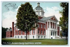 1905 Genesee County Court House And Jail Flint Michigan MI Posted Trees Postcard