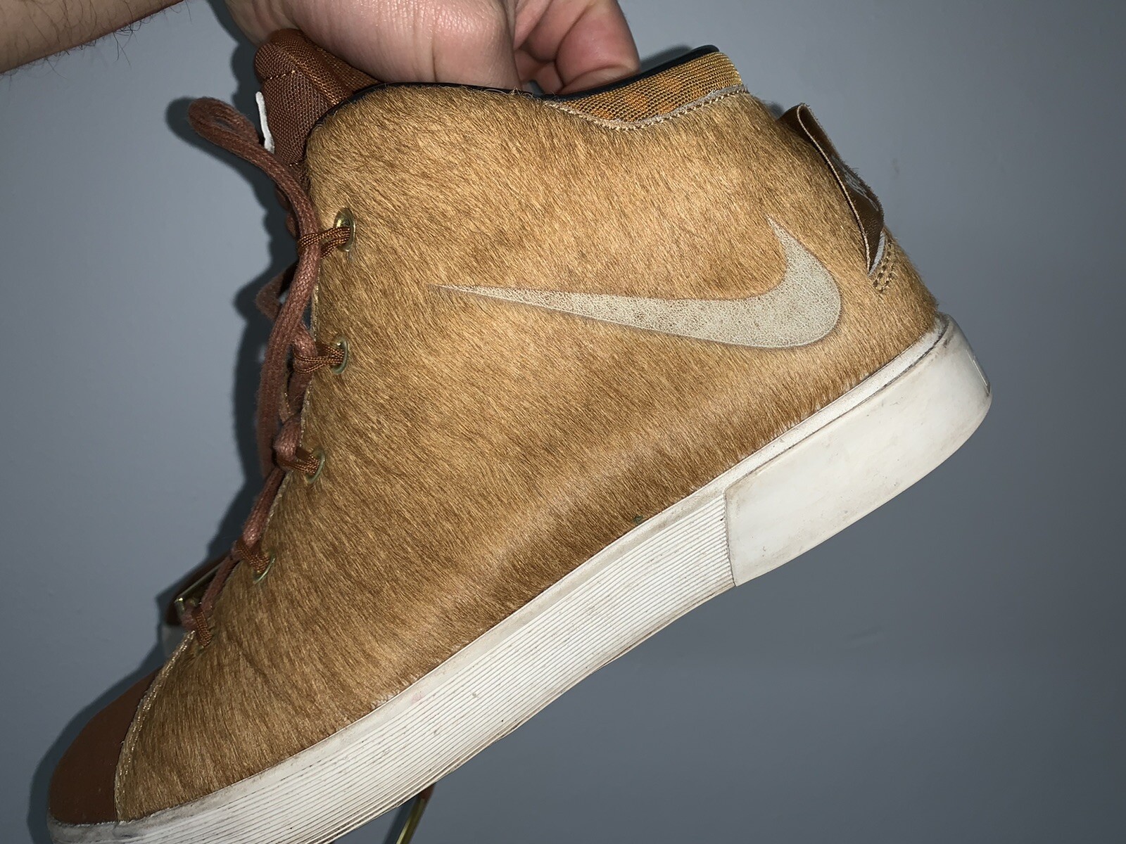 lebron 12 nsw lifestyle