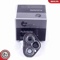 TüRfeststeller Esen SKV 96SKV769 FüR Opel Movano X70 Bus DTI UD0 UD4 Cdti Master