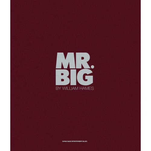 美品】MR. BIG 写真集 by ウィリアム・ヘイムス