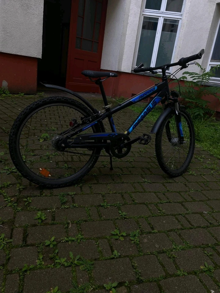 Pegasus Avanti Sport 7 - 24 Zoll, 7-Gang, Alu- Sehr Guter Zustand