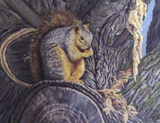 Acrylic Wildlife Painting- 'Chilly Lunch'- Squirrel by CShel- Realism Unf 11"x14