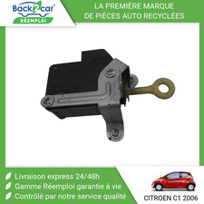 Carburateur Citroen C1