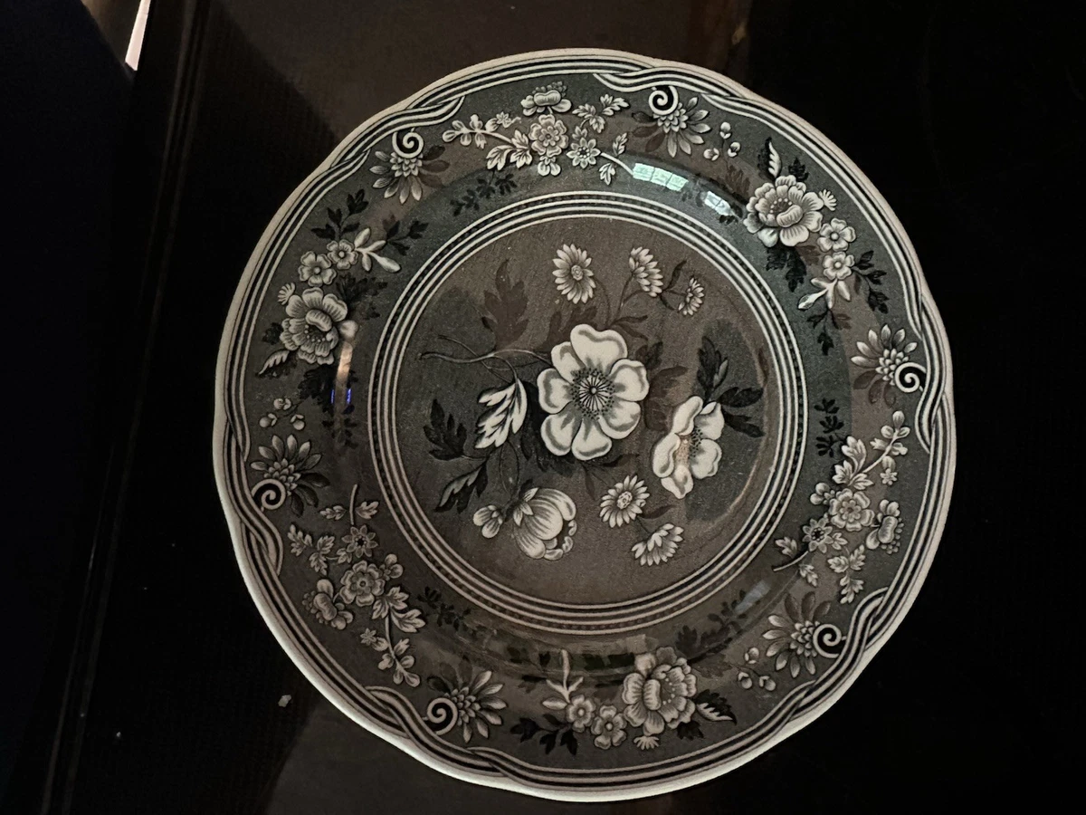 25+ Spode Archive Collection for sale | Updated Oct 2026