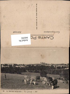 642255,La Roche-sur-Yon Vue generale Kühe Rinder France