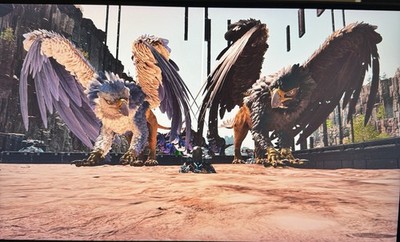 Ark Survival Ascended PVP Small Tribes CROSS  Griffin Breeding Pair TS! 1M 5F