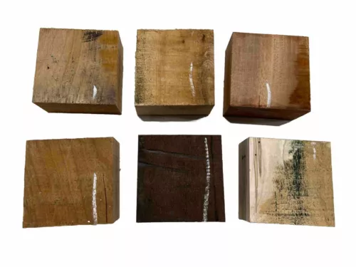 6 Pack,  Defective Multispecies Bowl Turning Wood Blanks  4" x 4" x 2"