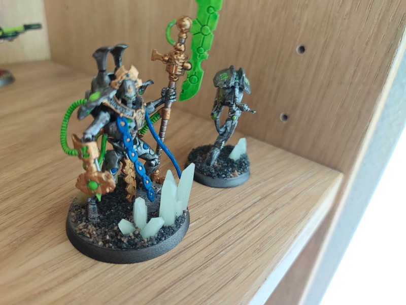 Warhammer 40k Necron Overlord And Warriors Assembled And Painted