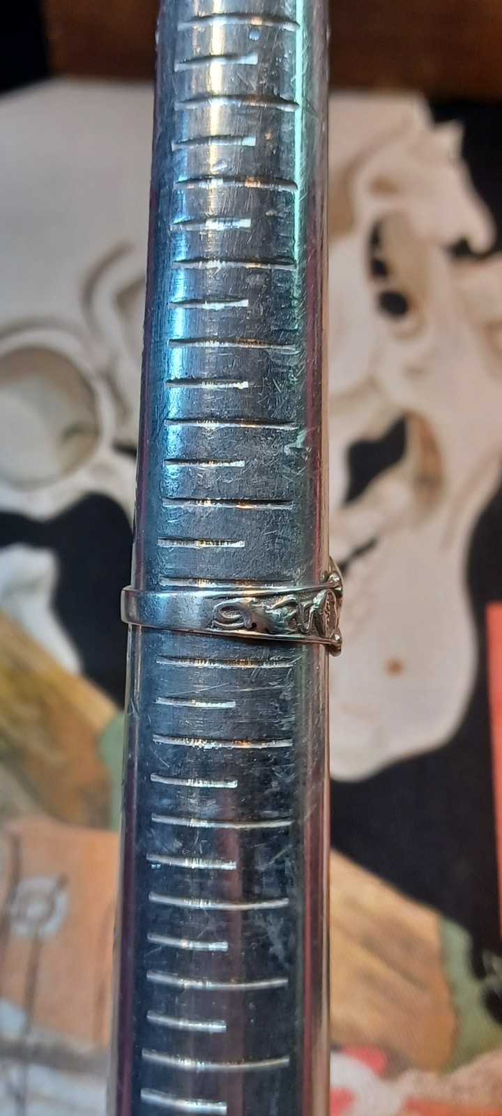 Picture 19 of 24