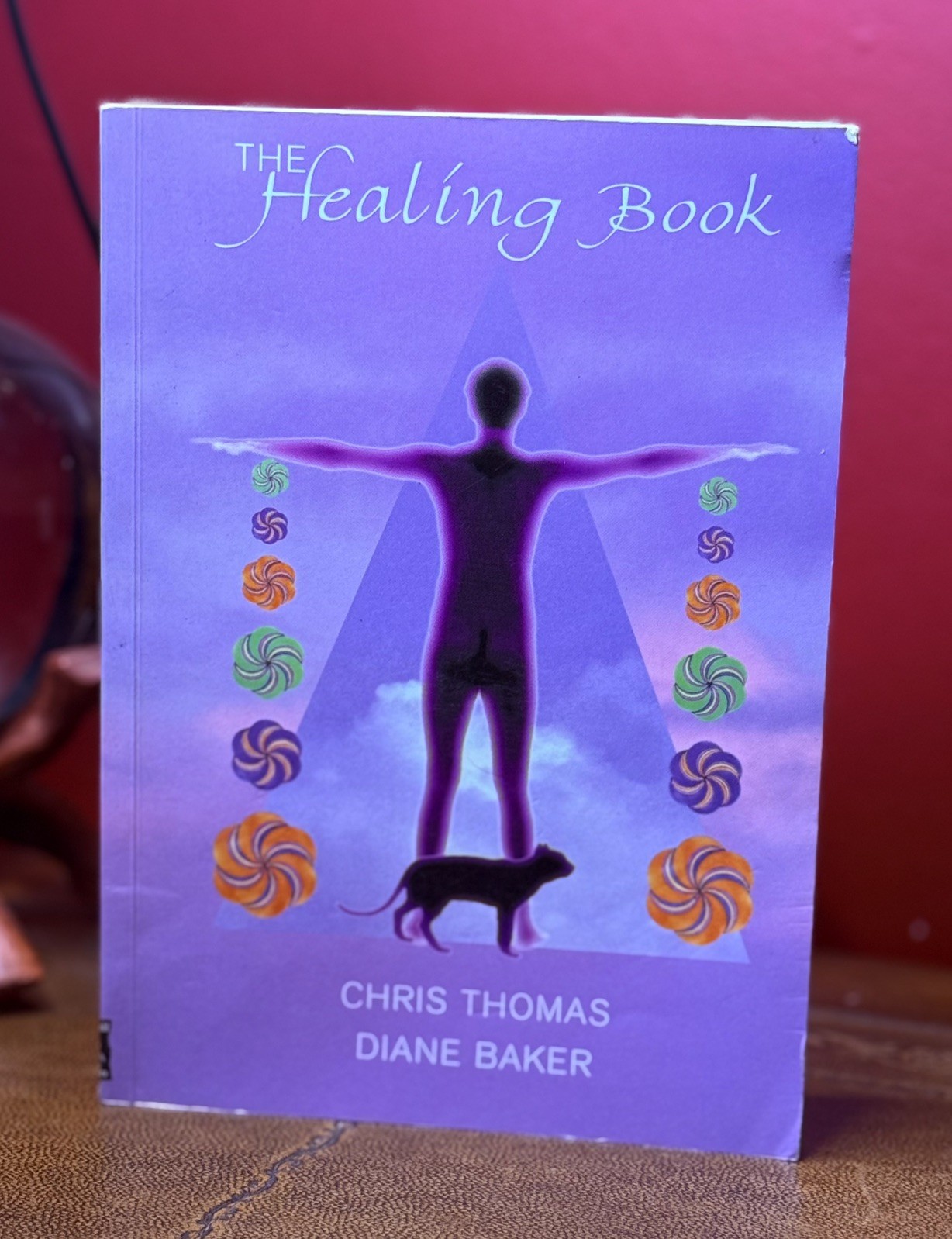 The Healing Book by Baker, Diane Paperback Book The Cheap Fast Free Post