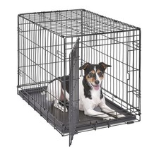 MidWest Homes for Pets 30-Inch iCrate for Medium Breeds, 21-40 lbs, Single Do...