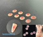 1:6 Nipple Stickers Breast Chest Patches Props For 12" Female PH TBL Figure Body