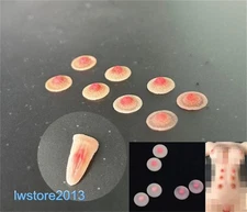 1:6 Nipple Stickers Breast Chest Patches Props For 12" Female PH TBL Figure Body