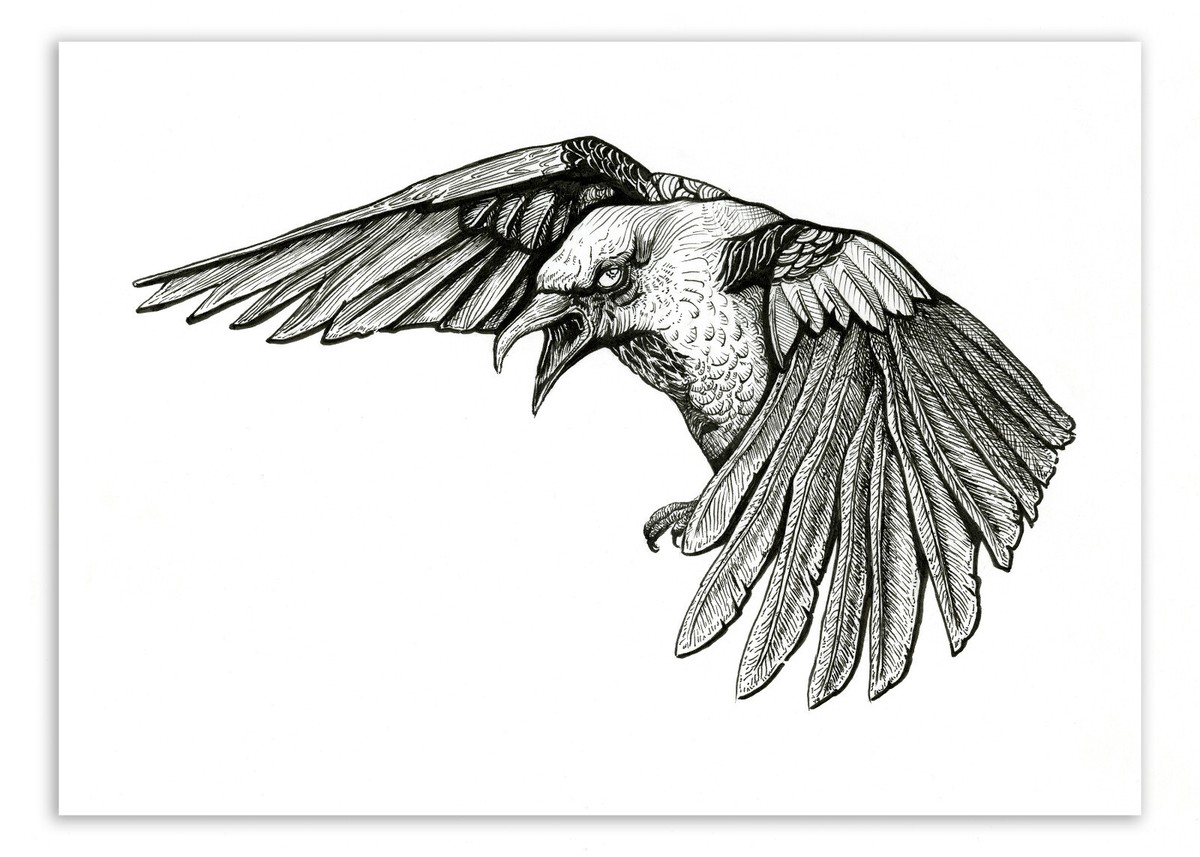 Art Print Wall Decor - The Flight - Ink drawing crow raven