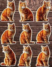 Orange Cat Die Cut Vinyl Stickers Set Scrapbooking Laptop Water Bottle