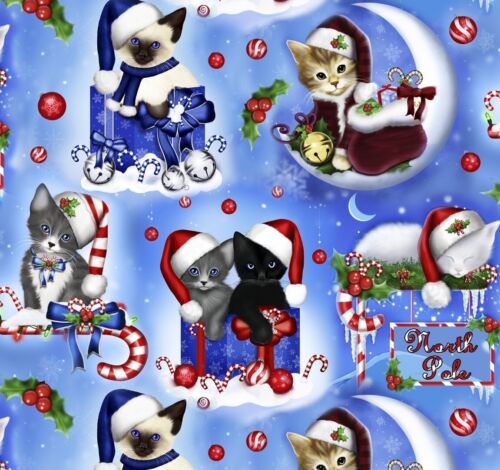 Feline Drive Fabric CHRISTMAS KITTENS Cats Blue Holiday Sold by the Yard - Picture 1 of 7