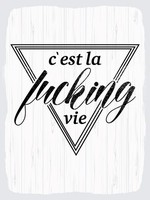 Holzschild 40X30 Cm CéSt La Fucking Vie WeißEs Deko Schild Deko Geschenk Schild