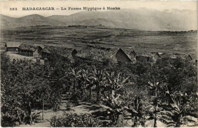 CPA AK La Ferme Hippique in Hoaka MADAGASKAR (1044924)