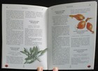Foto 4 di 4
