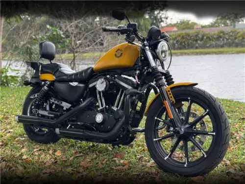 2019 Harley-Davidson Iron 883™ 