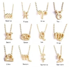 Ladies Gold 12 Horoscope Astrology Zodiac Signs Birth Sign Chain Necklace Gift