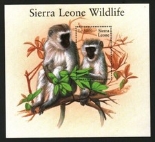 Sierra Leone Stamps Sheet Animals Wildlife Vervet Monkey #11929