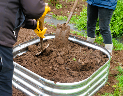 Raised Metal Garden Bed Planter Double Layer Galvanised & Gloves 1.2 meter Large - Picture 22 of 24